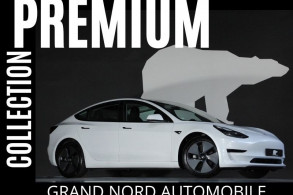 TESLA MODEL 3 STANDARD RWD PLUS MY21