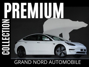 TESLA MODEL 3 STANDARD RWD PLUS MY21