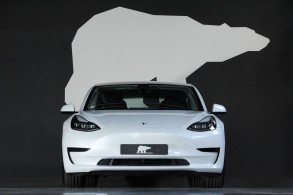 TESLA MODEL 3 STANDARD RWD PLUS MY21