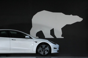 TESLA MODEL 3 STANDARD RWD PLUS MY21