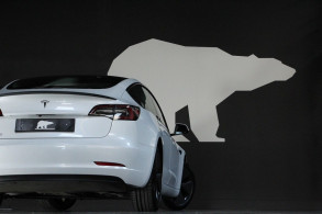 TESLA MODEL 3 STANDARD RWD PLUS MY21
