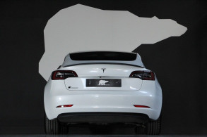 TESLA MODEL 3 STANDARD RWD PLUS MY21