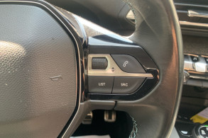 PEUGEOT 3008 1.5 BLUEHDI 130CH S S CROSSWAY