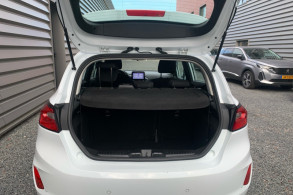 FORD FIESTA 1.0 FLEXIFUEL 95CH TITANIUM BUSINESS 5P