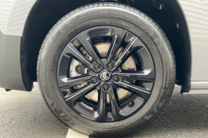 CITROEN BERLINGO NEUF N1 M BLUEHDI 130CH S S PLUS EAT8